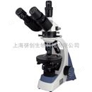 偏光显微镜BM-57XC,三目偏光显微镜价格