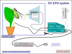 EPG昆虫刺探电位仪