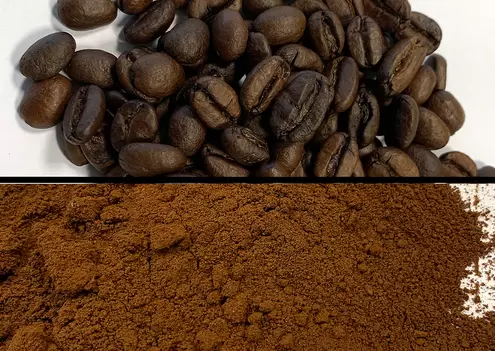 应用实例: 在低温下研磨咖啡豆以进行天然物质分析。