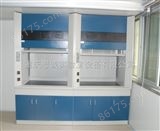 SC-TFG-1重庆实验室设备/实验室整体规划/实验室钢木通风柜