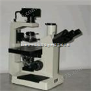 三目暗视场显微镜BM-14