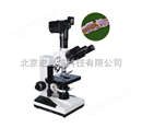 BM-8CD 数码相机型暗视场显微镜