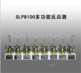 SLP8100多功能反应器