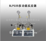 SLP225多功能反应器