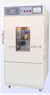SHH-250SD艾普仪器药品稳定性试验箱