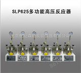 SLP625多功能高压反应器