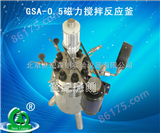 *GSA-0.5磁力搅拌反应釜