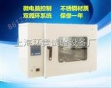 DHG-9023A250度电热恒温鼓风干燥箱 烤箱