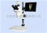 立体视频显微镜 LCD-80102