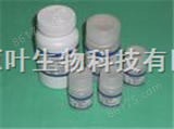 YY11605-1琼脂糖SFR/高分辨率低熔点琼脂糖/9012-36-6